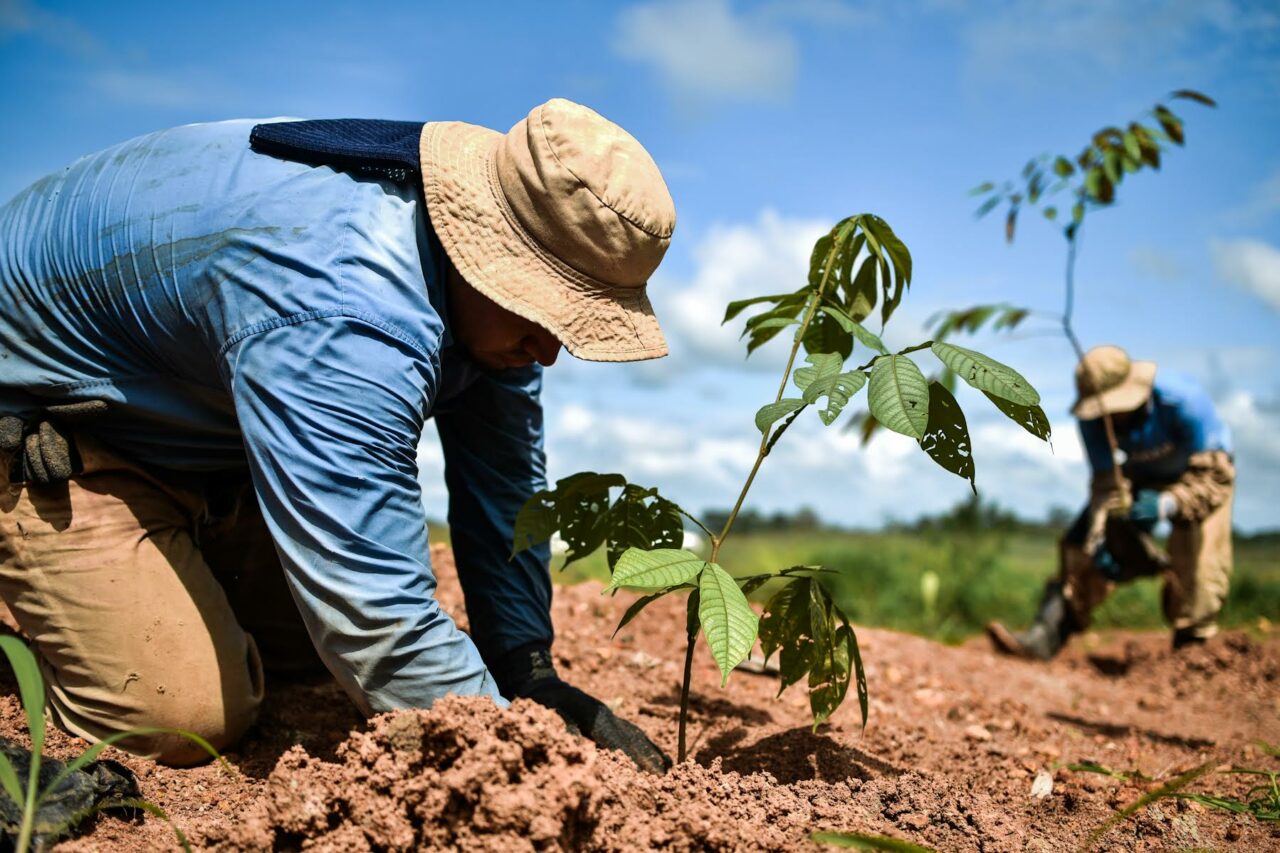 Presidencia De COP29 Propone Fondo De Financiación Climática De US$1. ...