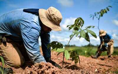 Costa Rica: Programa de aceleración empresarial impulsará start-ups en cambio climático y biodiversidad