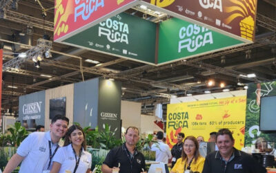 World of Coffee de Copenhague 2024 disfrutará del café de Costa Rica