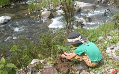 Costa Rica: Reconocerán a estudiantes por poner en práctica la Inteligencia de la Naturaleza a través de 10 “eco-retos”