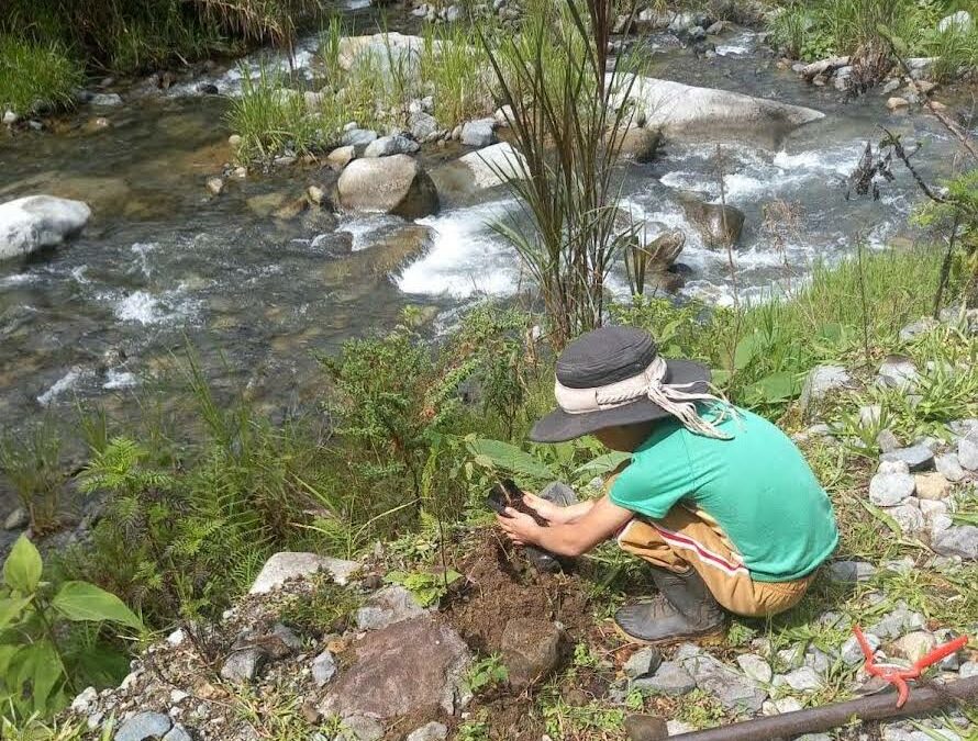 Costa Rica: Reconocerán a estudiantes por poner en práctica la Inteligencia de la Naturaleza a través de 10 “eco-retos”