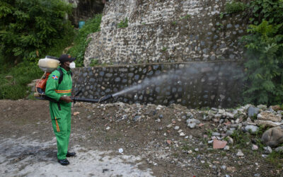 Más de 100 muertos por dengue en Centroamérica y el Caribe, con al menos 200.000 casos