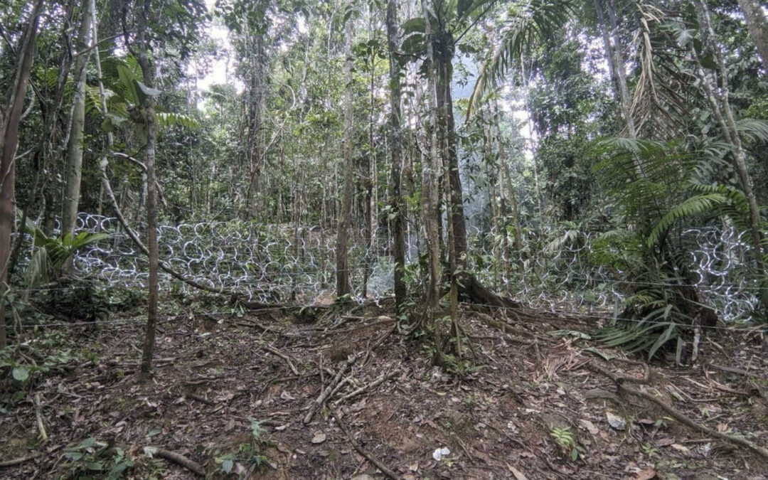 Panamá bloquea casi 5 kilómetros de pasos usados por migrantes en la selva del Darién