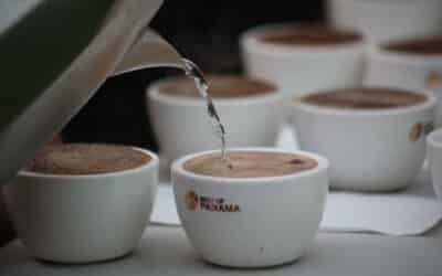 Panamá celebra una subasta electrónica con cafés de lujo partiendo de 100 dólares el kilo