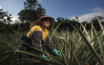 Dole fomenta el desarrollo de sus colaboradores y comunidades