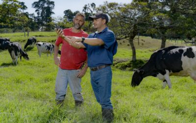 Empresas más sostenibles de la región: Cooperativa de Productores de leche Dos Pinos