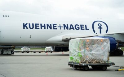 Kuehne+Nagel continúa su expansión en el Caribe