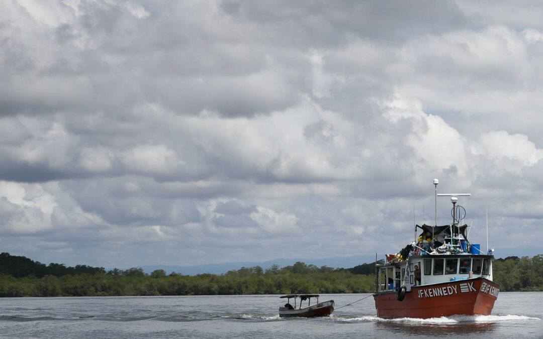 Protección de manglares o desarrollo, el dilema en torno a un proyecto portuario en Panamá