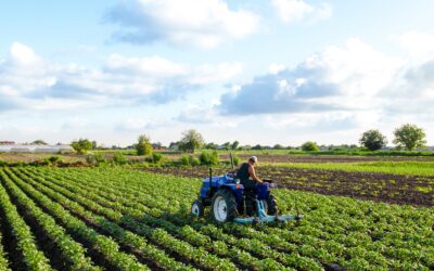 Costa Rica: Iniciativa impulsa una transformación de la agricultura para hacer frente al cambio climático