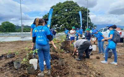 Intersección de La Galera tendrá el Primer Bosque Compasivo de Costa Rica