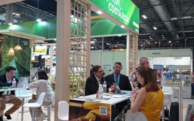 Banano de Costa Rica estará presente en feria internacional de productos frescos