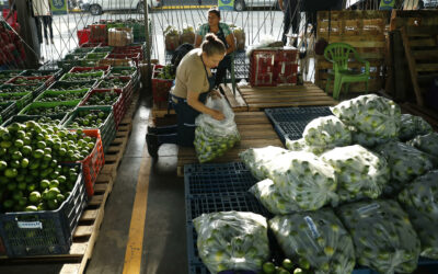 El Salvador abre una central de abasto de alimentos «a bajo costo» como medida económica