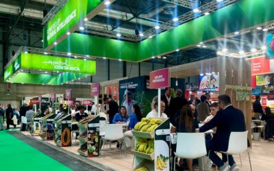 30 empresas agrícolas de Costa Rica promocionan su oferta en Fruit Attraction 2024