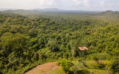 Costa Rica: EcoFest llega para dar a conocer la belleza natural y gastronomía de Sarapiquí