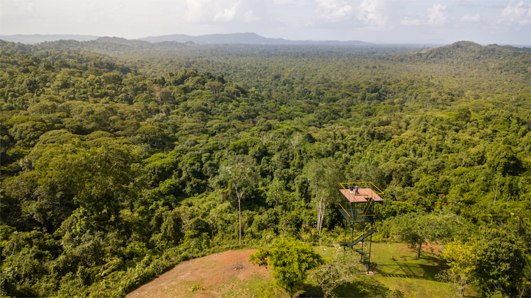 Costa Rica: EcoFest llega para dar a conocer la belleza natural y gastronomía de Sarapiquí