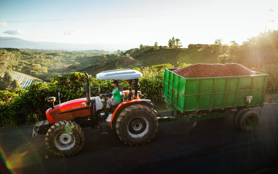 Starbucks invierte en dos nuevas fincas de innovación cafetalera en Costa Rica y Guatemala