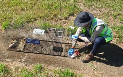 Costa Rica: AERIS implementa programa de monitoreo de fauna para reforzar seguridad de aeropuerto