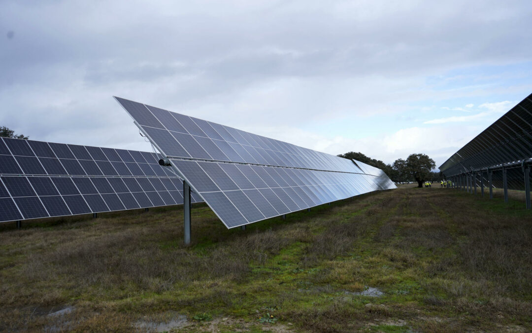 Latinoamérica, uno de los mercados atractivos de energía solar fotovoltaica para China