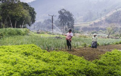 Costa Rica: 25 empresarias desarrollan proyecto con enfoque sostenible