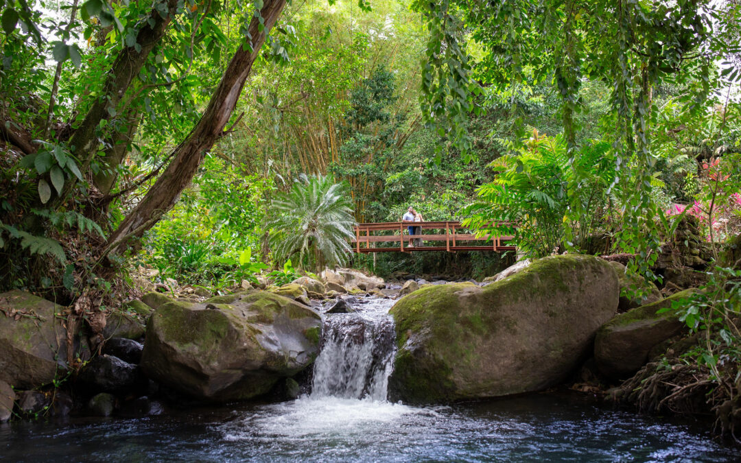 Chachagua, uno de los destinos costarricenses por explorar este fin de año