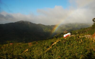 BID otorga donación por US$200.000 a Costa Rica para atender emergencia generada por fuertes lluvias