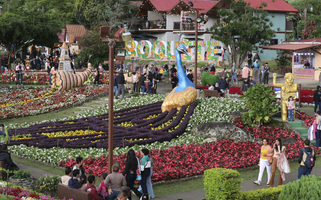 Miles de flores y el café más caro del mundo engalanan poblado en las montañas de Panamá