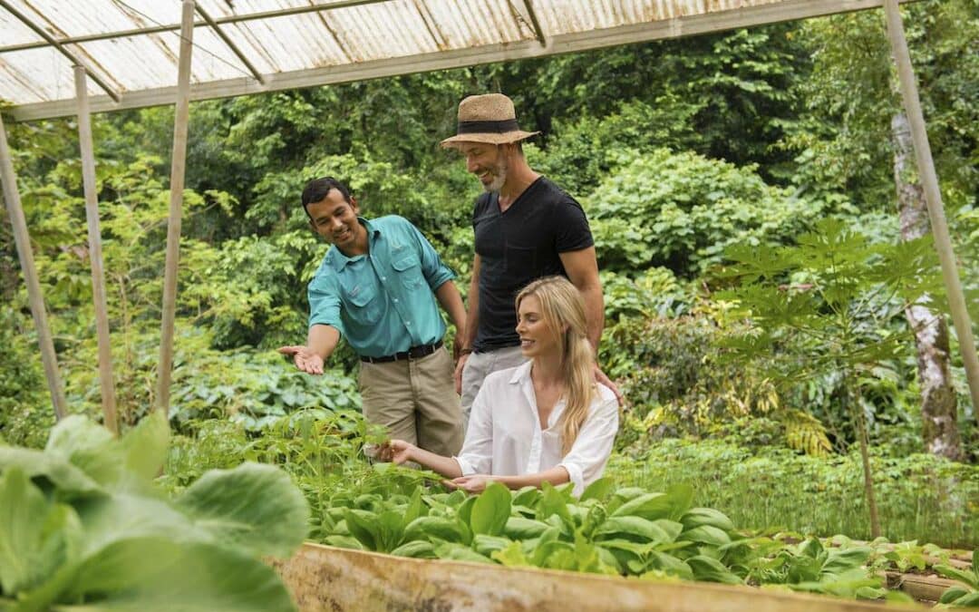 El lujo sostenible toma fuerza en Costa Rica en la industria hotelera