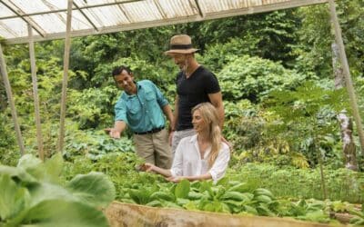 El lujo sostenible toma fuerza en Costa Rica en la industria hotelera