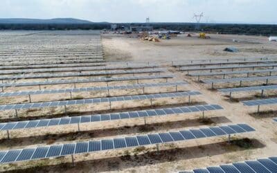 Latinoamérica será clave en la implantación de energías verdes en 2025