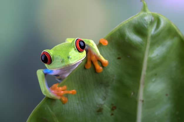 Día Mundial de la Vida Silvestre 2025 hace un llamado a educarnos y en respaldar proyectos para el cuidado del medio ambiente