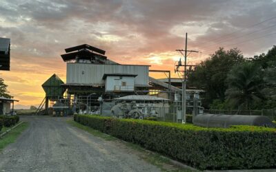 Grupo Pelón: aliado del campo y la sostenibilidad