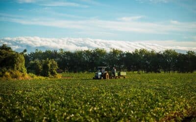 Fresh Del Monte recibe prestigioso premio en sostenibilidad: ¿Cuál fue el rol de Costa Rica en este logro?