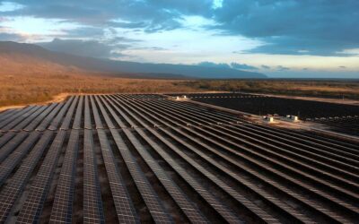 Grupo Universal: Sostenibilidad, el corazón de su estrategia