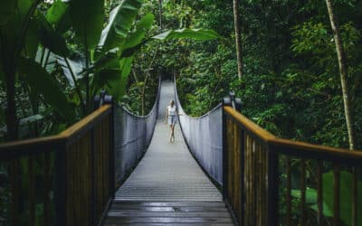 Hotel costarricense obtiene la Certificación de Carbono Neutralidad