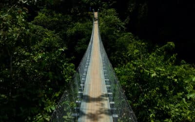 Bladex y el Canal de Panamá: una alianza que transforma residuos plásticos en progreso para las comunidades