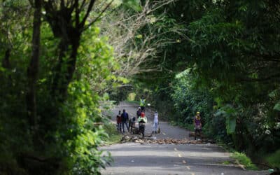 Presidente de Panamá maniobra para «salvar 7.300 empleos» en medio de huelga bananera