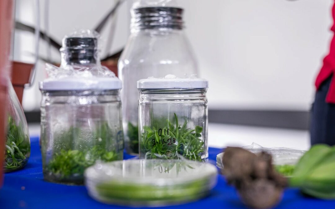 Costa Rica: Agrotransformación 2025 apuesta por la innovación y conocimiento para el futuro del agro costarricense