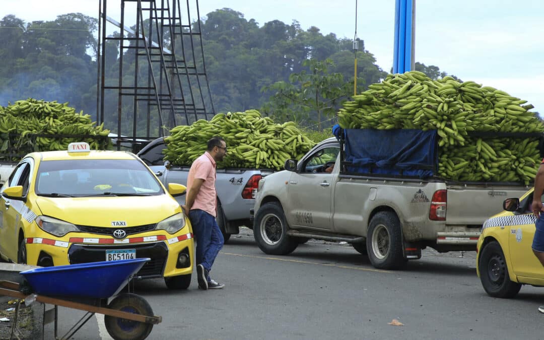 Entra en vigor la ley para los trabajadores bananeros en Panamá mientras siguen protestas