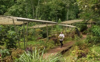 Costa Rica: Origins reafirma su compromiso con la sostenibilidad trascendiendo sus esfuerzos a las poblaciones locales