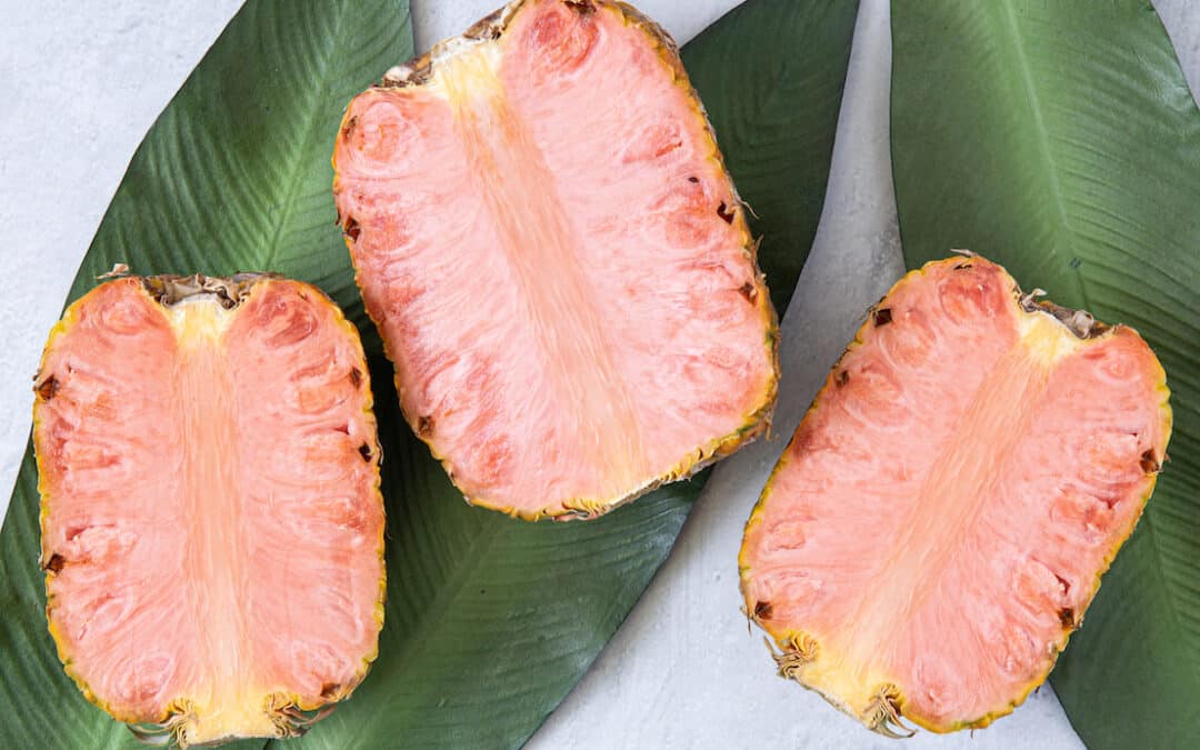Piña rosada: 17 años de investigación en Costa Rica rinden frutos y deleitan el paladar de celebridades