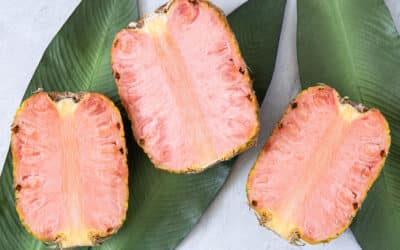 Piña rosada: 17 años de investigación en Costa Rica rinden frutos y deleitan el paladar de celebridades