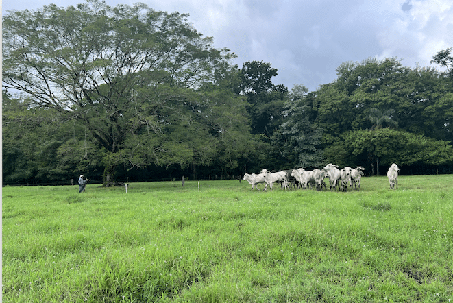 Costa Rica y Francia unen esfuerzos para la gestión sostenible de los agropaisajes