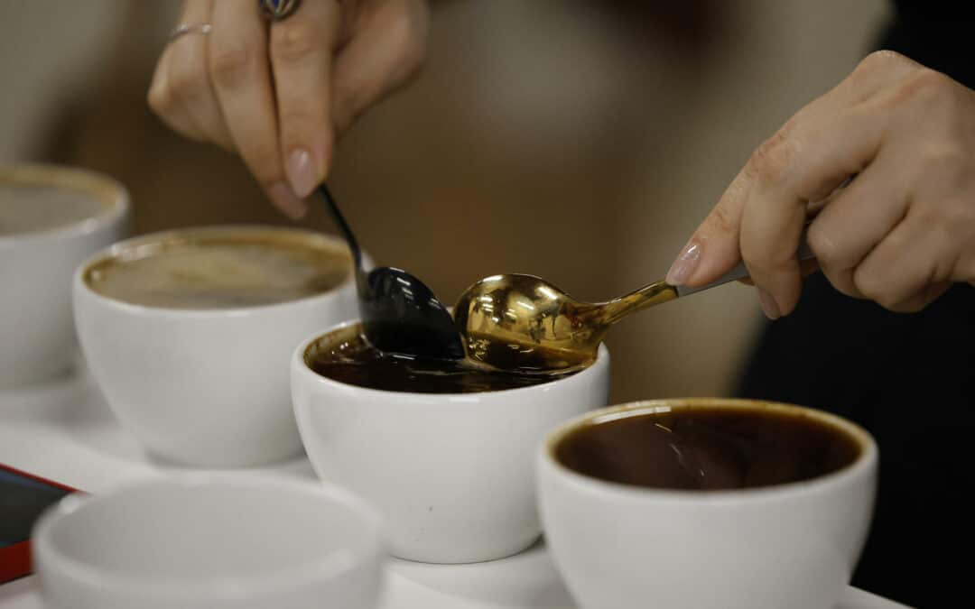 Una ventana al complejo mundo del café de lujo en Panamá con miras al ecoturismo