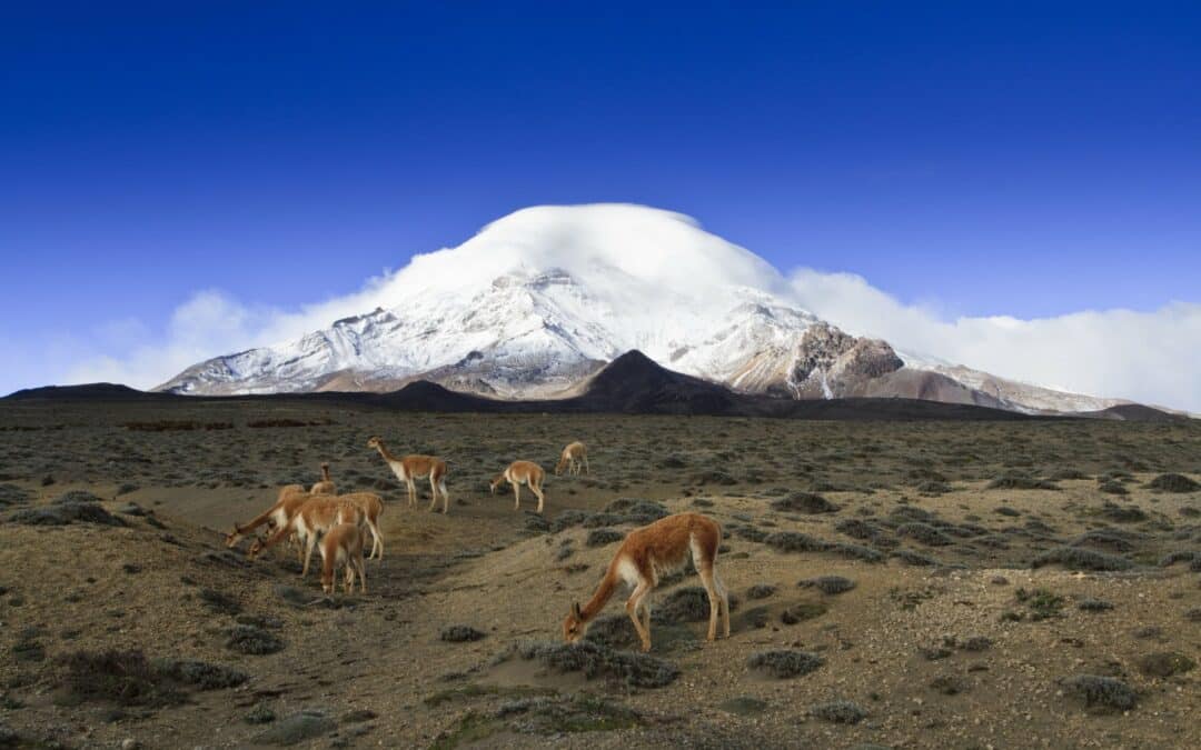 Ecuador invita a panameños a vivir una experiencia única en los cuatro mundos