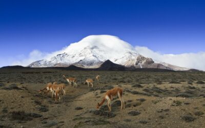 Ecuador invita a panameños a vivir una experiencia única en los cuatro mundos