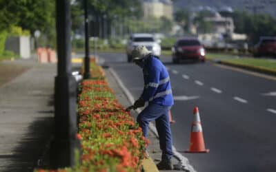 ¿Por qué crece la economía pero no el empleo formal en Panamá?