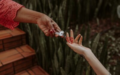 Costa Rica: Mujeres encuentran libertad económica en la industria del hospedaje