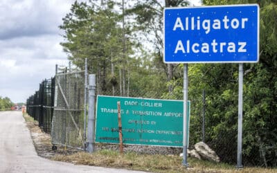 Al menos 249 guatemaltecos se encuentran recluidos en Alligator Alcatraz en Florida