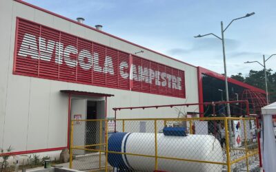 Avícola Campestre invierte más de US$8 millones en una nueva planta de incubación en San Miguel, El Salvador