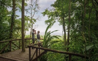 Costa Rica se posiciona como santuario para la revitalización mental y física